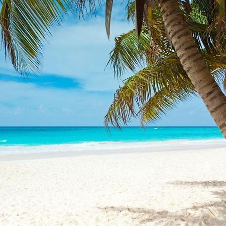 All Season Paradise In Cortez Bradenton Buitenkant foto