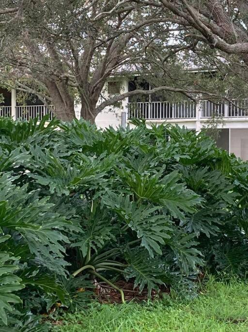 All Season Paradise In Cortez Bradenton Buitenkant foto