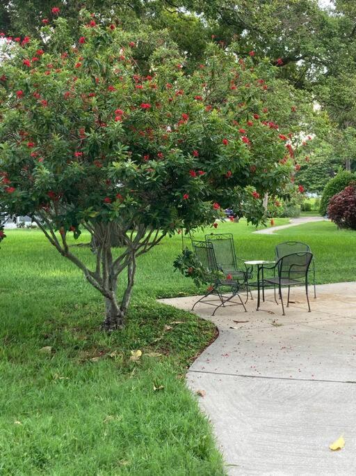 All Season Paradise In Cortez Bradenton Buitenkant foto